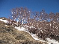 rra delle Concazze-20110410 016